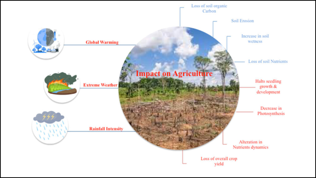 Impact of Climate Change on Forage Crop Distribution